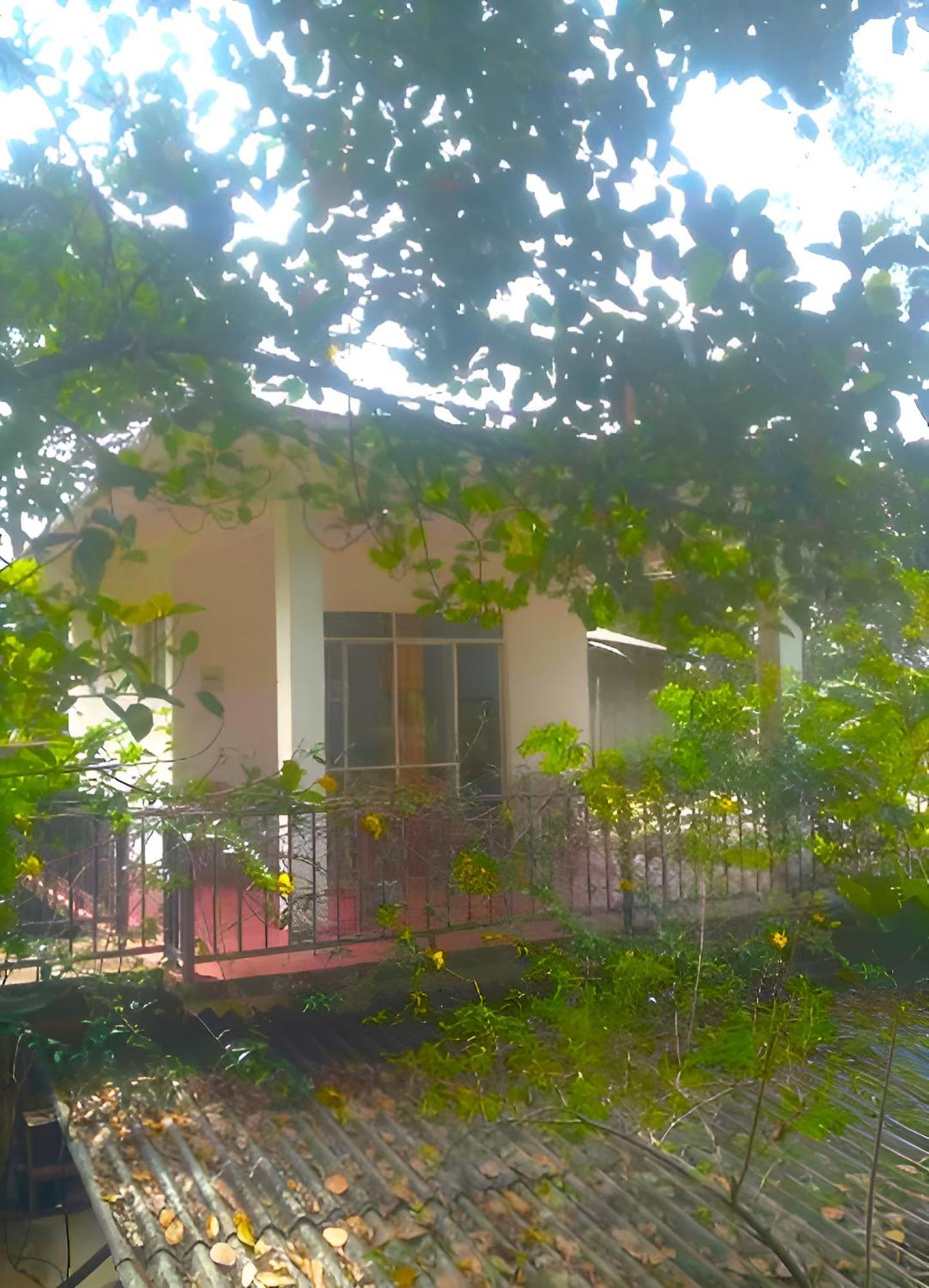 Senehas Homestay Ella Exterior photo